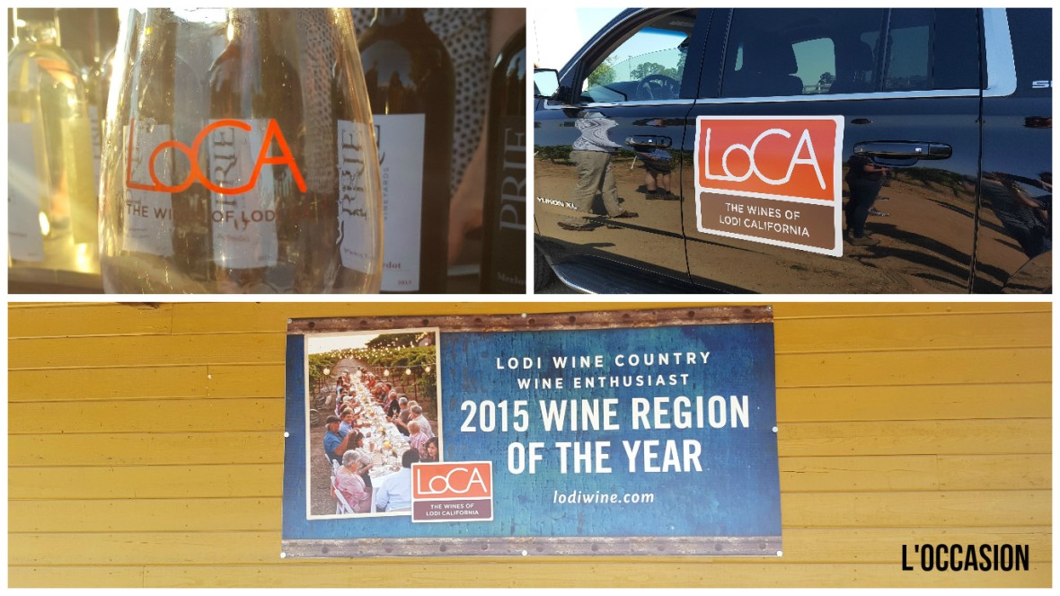 LoCa: The Wines of Lodi, California 2015 Wine Region of the Year