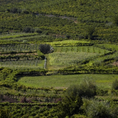 Vinho Verde, Courtesy: Wines of Portugal
