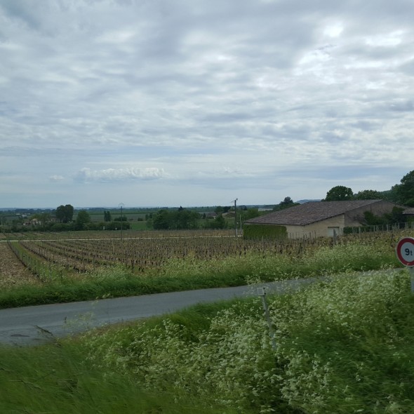 Southwest France vineyards, historic vineyards, indigenous French grapes, Godforsaken Grapes